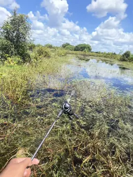 #castingfishing🎣 