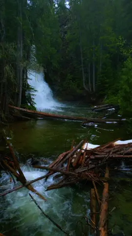 Supernatural BC. Deer creek falls. #waterfall #britishcolumbia #hike #bc #deercreek #moody #kootenays #trailqwest #dronevideo 