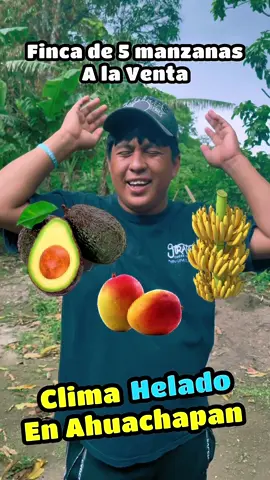Vendo finca con 5 manzanas de terreno en el departamento de Ahuachapan, clima frío hay decenas de árboles frutales. #fincarnventa #elsalvador #terrenosbaratos #wichito503 #terrenosalaventa 