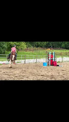 Three states. A month long wait and a whole lot of patience. The search has been on since this spring and fingers crossed we found a unicorn. Doubtful. But a little gelding will be perfect ❤️ #cowgirl #dreambig 