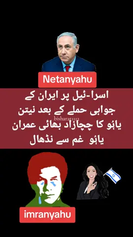 #basharat1112 #pmln 