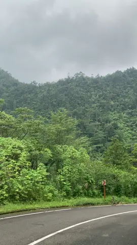 life hurts, nature heals🍃💚#fyp #nature 