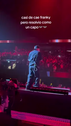 🦇🦇🦇🦇 #frankystyle #cro #diamantebruto #movistararena #viral #fyp 