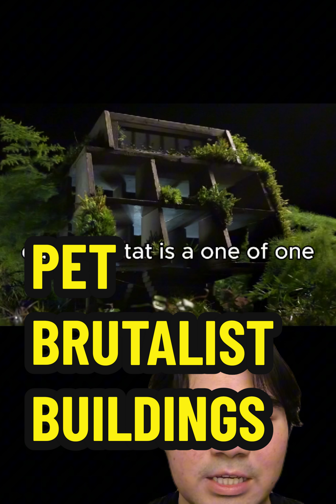 i want a pet brutalist building 🐠  #brutalism #architecture #industrialdesign 