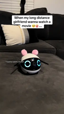 she wanted ears and hands on her robot 😂💕 #rola #ebo #petcamera #homecamera 