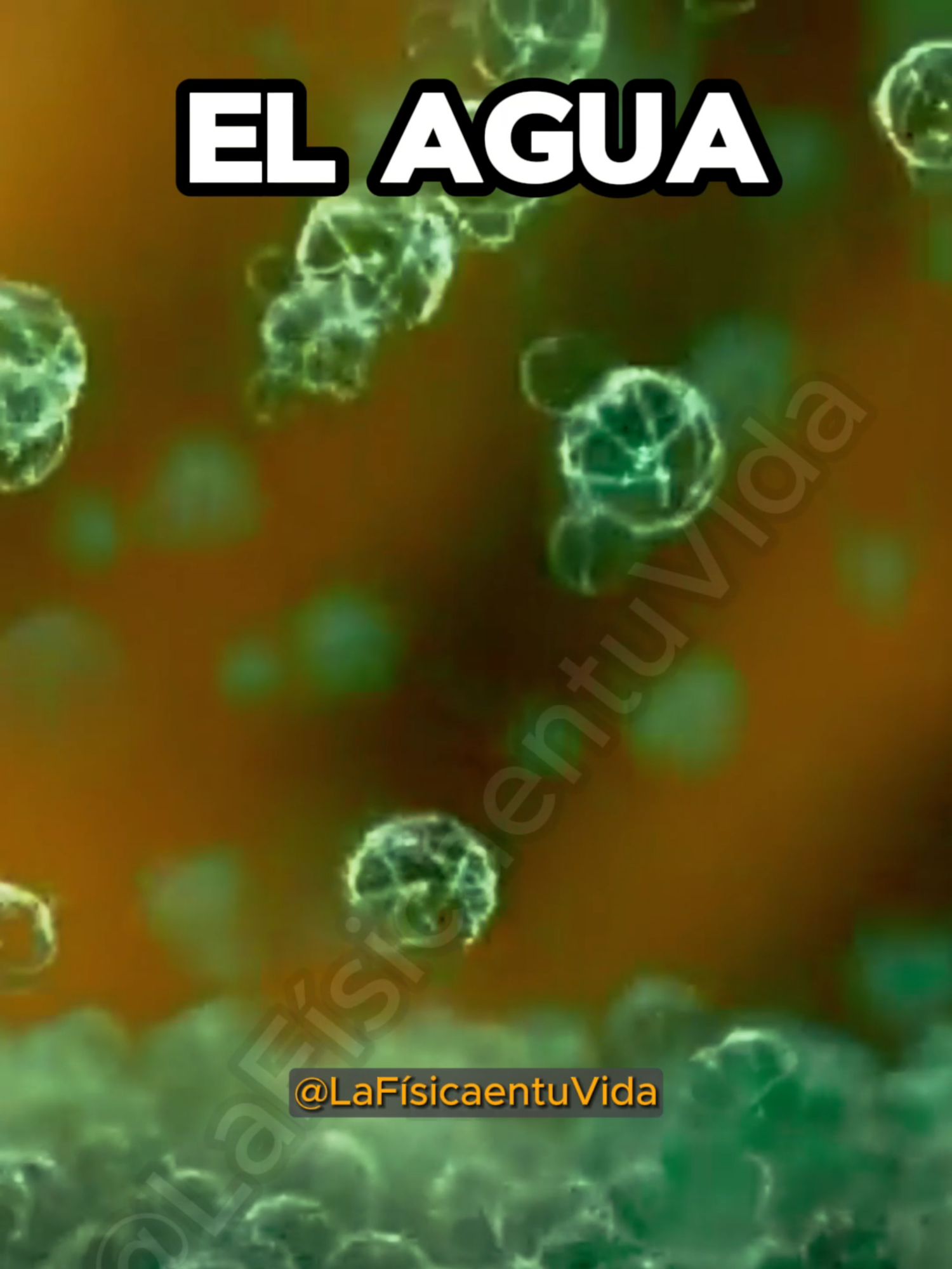 😱😱EL AGUA🤯🤯 #física #ciencia #parati #ingenieria #cosmos #tareas #secundaria #escuela #bachillerato #preparatoria #bachillerato #universidad #risa #humor #estudio #experimentos #universo #matematicas #fyp