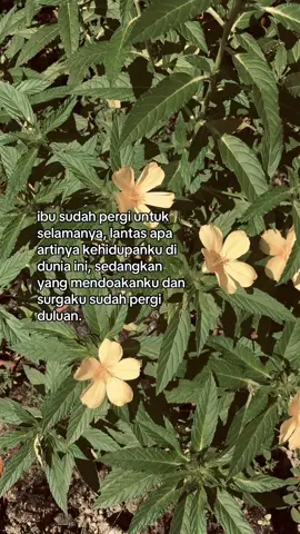 #sad #quotes #ibu #alfatihah #fyp #fypシ #pyf #xyzbca #xzybca #lewatberanda #foryou #4u 