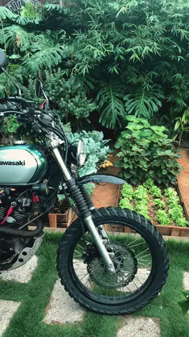 Tôi yêu chiếc xe của tôi 🫠🏍️ #vibes #bikelife #dalat #scrambler #w175 #classic #custom 