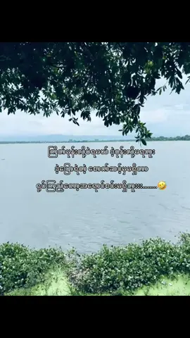 ပုတ်ပွနေတဲ့ စိတ်ဓာတ်နဲ့ ရုပ်နဲ့လဲလိုက်ပါတယ် တစ်မျိုးလုံးတစ်ဆွေလုံးပေါင်းတောင် ငါ့အိမ်ကခွေးလောက် အဆင့်မရှိဘူး တစ်လုံးချိုင့်🤣
