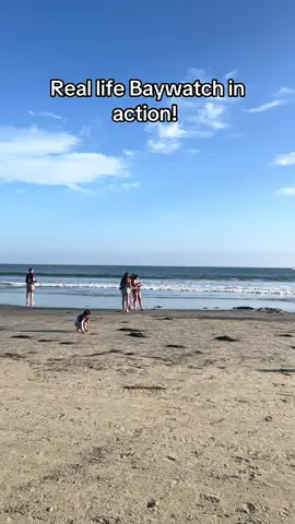 #sandiego #beach #lifeguard #emergency #swimming #fyp #OhNo 