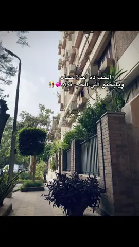 💗🫵🏻#el_goo🦁☝🏻 