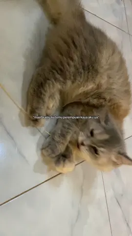 ..