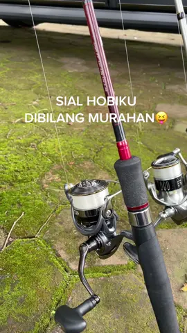 Iyah mbk murahan ko😂#CapCut #galatama #balonghardisumedang #sumedang #nfg #shimano #shasta #twin #scorpion #lesath #luvias #joran #joranpancing 