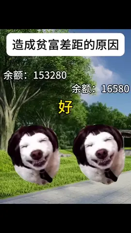 #猫咪 #2025 #猫meme #cat #猫meme小剧场 