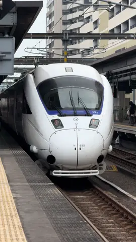The limited express Sonic 19 arrives at Oita Station. The white train is a Series 885 train. #trains #railways #sonic #limitedexpresstrain #oita #885series #japan 