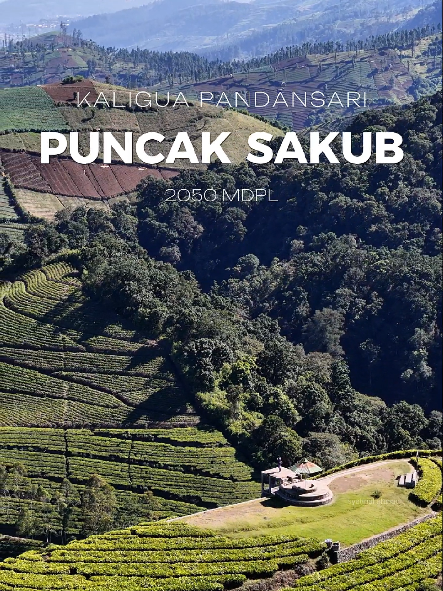 weekend nih, puncak sakub cocok buat kalian bengong #puncaksakub #kaligua #paguyangan #bumiayu #brebes #wisatabrebes #pandansari #telagaranjeng #gunungslamet #fypシ゚ #foryoupage #fyp 