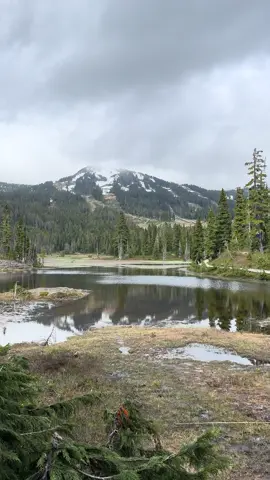 Tried to find a snow in June haha There are some leftovers on the top of M. Washington 💫 #vancouverisland #snowinsummer #mountains #@Nemeton ☕️ 