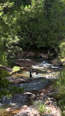 cô ấy hỏi:  ở dalat stress a đi đâu a  đi suối #dalat 