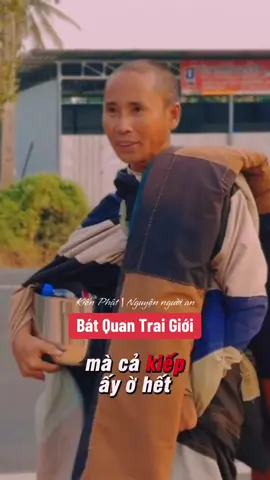 Kiến Phật | Đây là bài pháp về bát quan trai giới của Thầy Minh Tuệ và Pháp Sư Tịnh Không . Mọi người hãy cố gắng thực hành nhé #phatphaptang #thichminhtue #thayminhtue #kienphat 