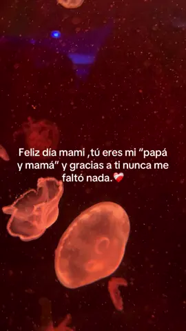 #fypppppppppppppp #viralllllll #paratii #mamá 