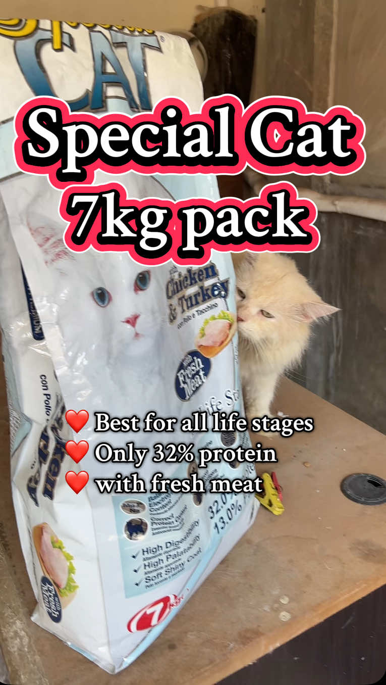 SPECIAL CAT Special Cat 7kg kibbles Chicken and Turkey flavors with fresh meat Suitable for all life stages 100% complete nutrition  ❤️ High digestability ❤️ High palatability ❤️ Soft shinny coat ❤️ 32.0% Protein ❤️ 13.0% Fat Reminder: Do not feed your cats 100% dry food. #catfood #petlovers #petsupplies #petproducts #persiancat #catcare 