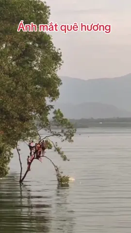 Ánh mắt quê hương 