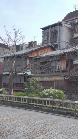 日本の自然の驚異を巡る旅