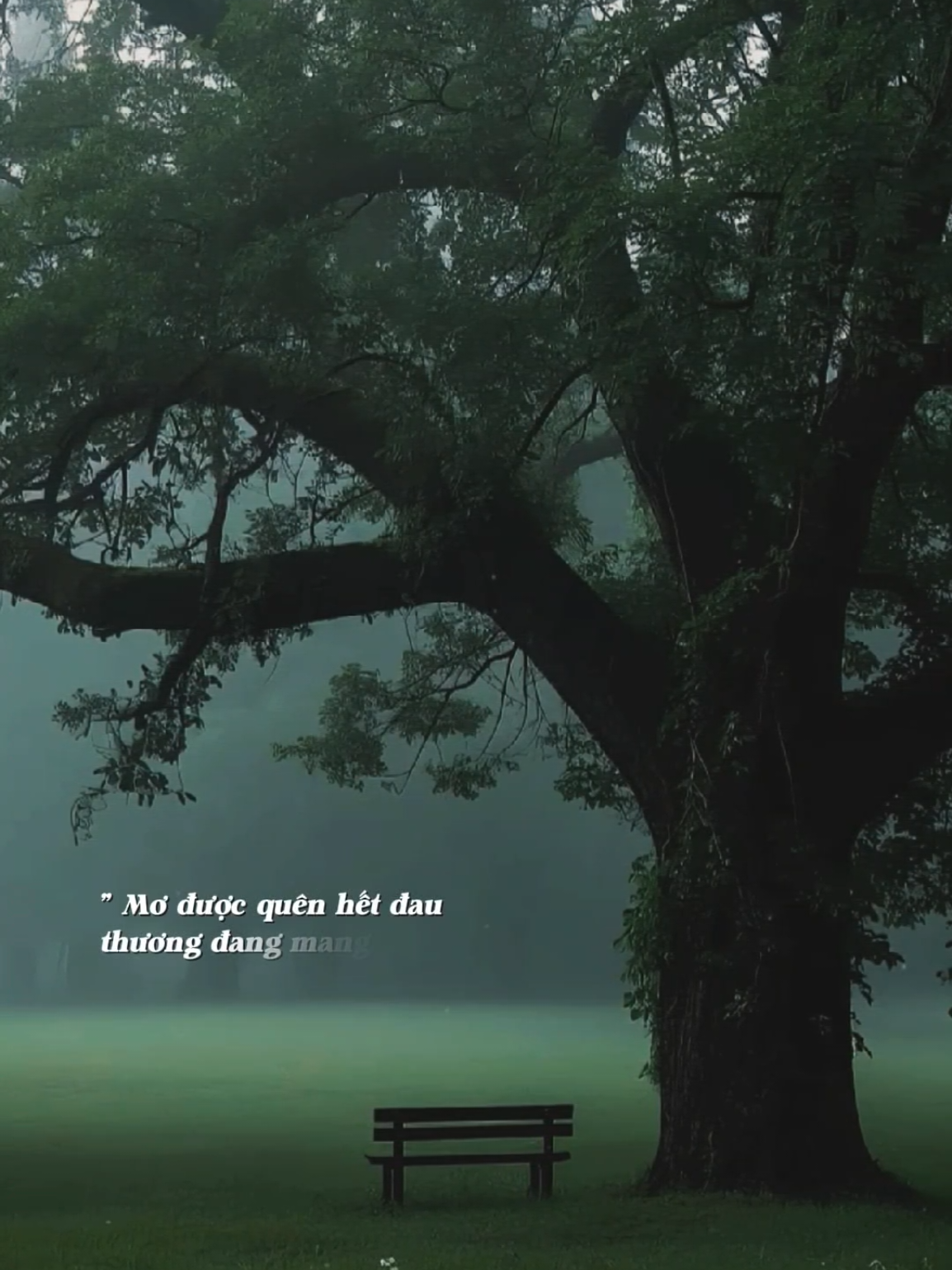 Chính em cũng cần yêu thương cần chăm sóc mà.. #emchangdanh #miule #Bkmuzic #hetpin #nhachaymoingay 