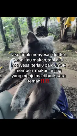 gapernah nyangka senajis ittusih#foryoupage 