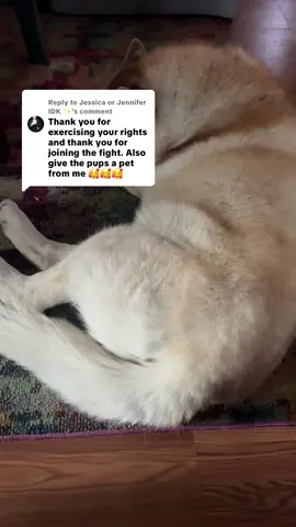 Replying to @Jessica or Jennifer IDK ✨ They say thank you 🫡