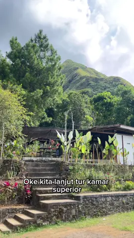 Info Tipe Kamar: 🏠 Kamar Superior Harga Normal: IDR 400k Promo April-Juni: IDR 350k