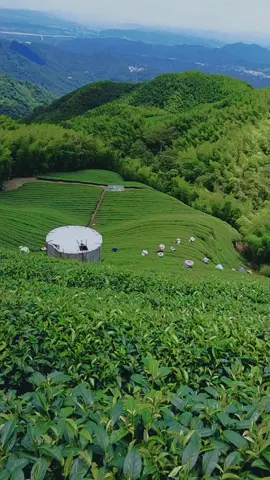 Tất cả chỉ vì  Cơm _Áo _Gạo _Tiền.#xuhuong #capcut #xuhuongtiktok #nguoivietnamtaidailoan #stt_buồn_tâm_trạng #hoinguoivietnamtaidailoan🇹🇼 #babytiktok #xuhuong #taiwan🇹🇼 