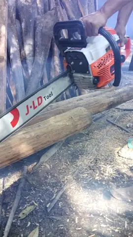 Belah kayu oakai mesin chainsaw JLD 20 inch #mesinchainsaw20inch #mesinchainsawjld #jldchainsaw #chainsaw2tak #megantools 