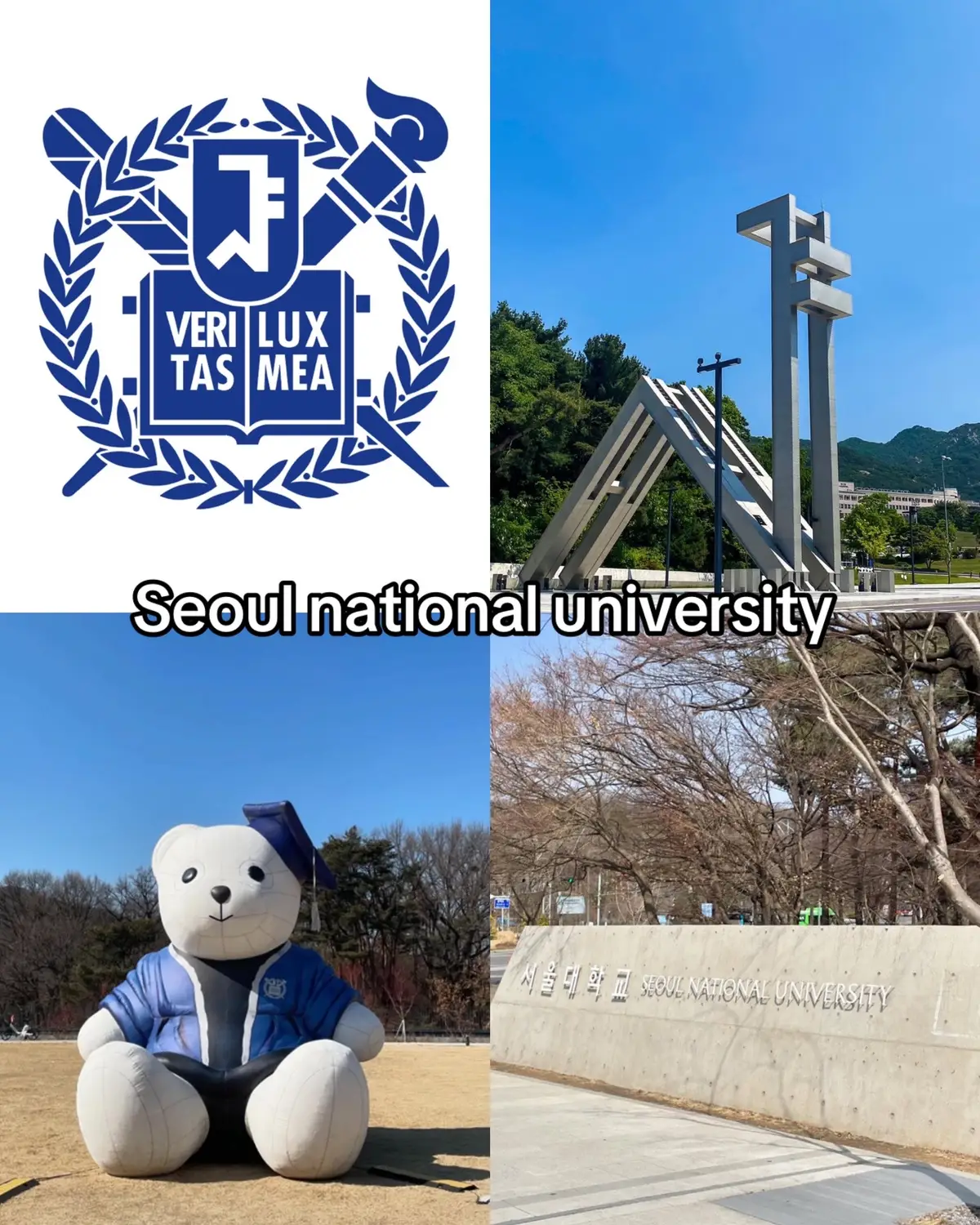 #duhochanquocvjhanoi #hanhtinhduhocvj #hanquoc한국 #유학생🇰🇷🇻🇳 