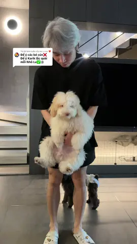 Trả lời @ʀɪᴋ'ꜱ ɢᴇᴍ ❤️‍🔥  Tặng bà coi cho đỡ ghiền nha #karik 