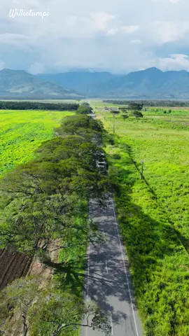 #pngtiktok🇵🇬🇵🇬💯fypシ゚viral #pngviral🇵🇬 #viralvideo #viral #pngtiktok🇵🇬 #viral #🇵🇬 #cinematography #iphone 