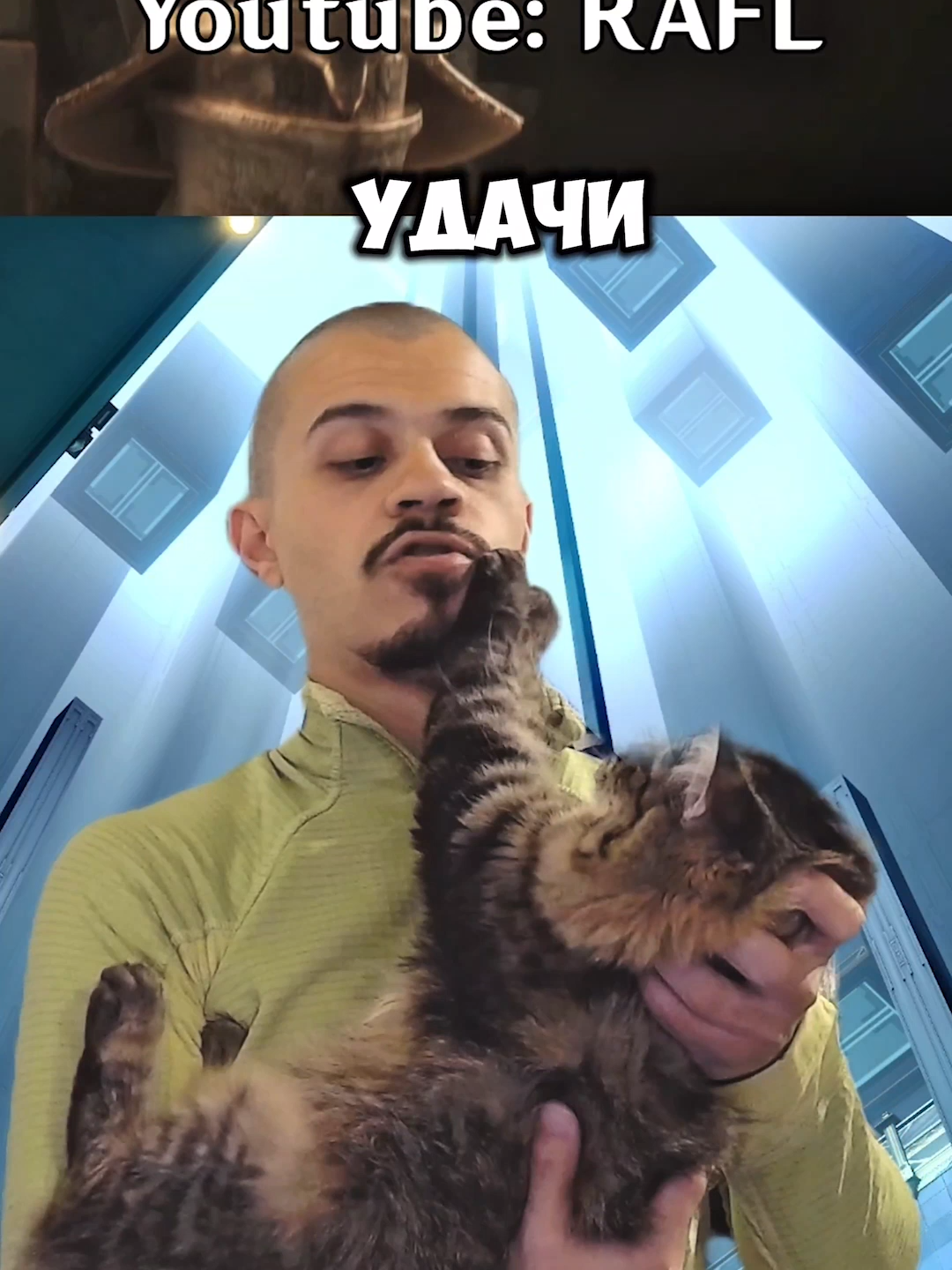 Разговоры о Wuthering Waves с котом #wutheringwaves #вува