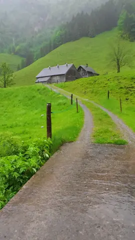 ⛰️ هل تستطيع سماع صوت المطر والنهر؟   من أعماق الريف السويسري، حيث الهدوء يروي الروح 🍃   مكان حقيقي.. كأنه حلم. 📍 Appenzell - Switzerland 🇨🇭   #رحلة_استرخاء #سويسرا #الريف_السويسري #تصوير_طبيعة #مطر #استرخاء #تيك_توك