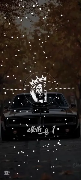 كلبشني يا باشا وركبني﴿فتحت عنيا على محاكم🏛️﴾ كريم كريستـــــيانو مهرجانات 🎤🎧🔝🔥 #اغاني #مهرجانات #حالات_واتس # #تصميمي #تصميم_فيديوهات🎶🎤🎬 # #صدي_صوت #موجه_صوتيه # #دبه_عاليا🔊 #البس_السماعه🎧fyp # #fypシ゚vir #foyoupage #foyo 