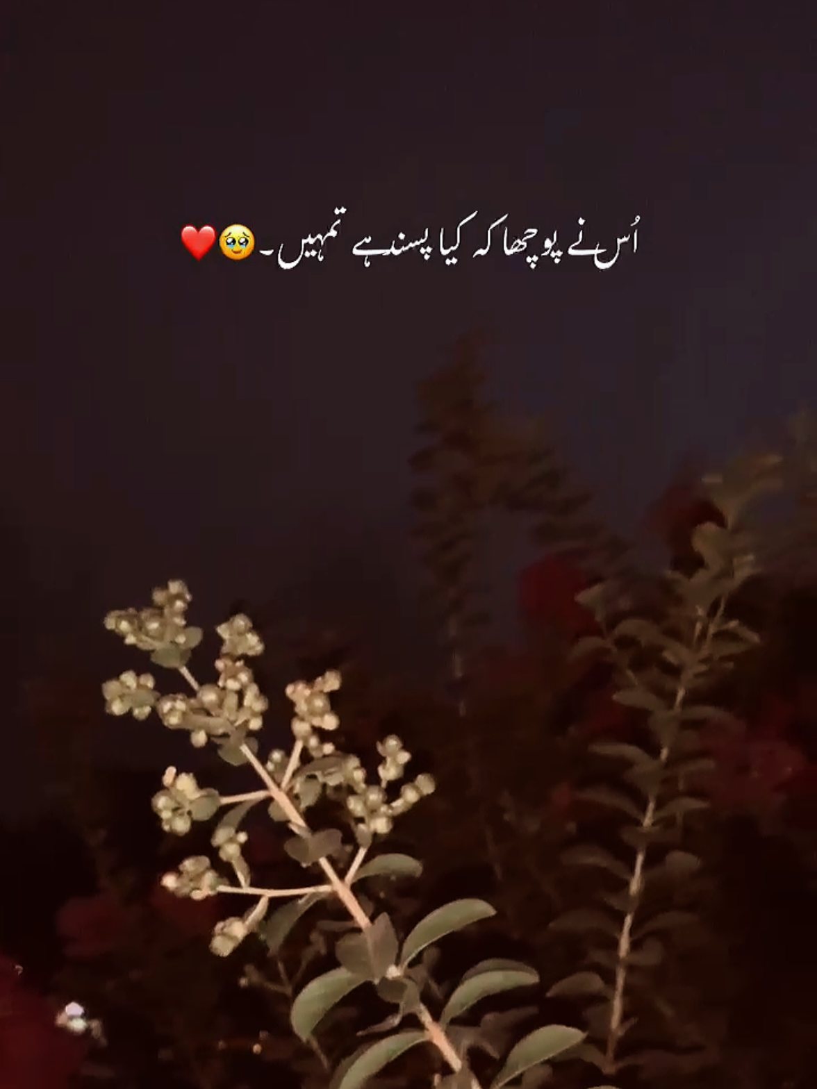 Mention your Love 🥹❤️🌸..! Repost 🥹🫶#foryouu #shayari #poetry #viralvideos #forypupage #fyp #fypviralシ #trendiing #lovequotes #unfreezemyacount #goviral #tiktokteamviralmyvideo #foryouu #onemillionaudition 