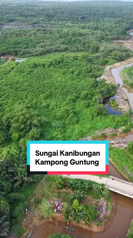 Sore hari di Sungai Kanibungan. #fyp #drone #dronevideo #guntung #bontang #guntungkampongadat #fypシ゚viral 