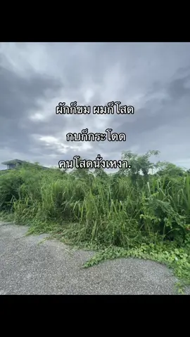 ไม่ได้ลงนานเล่นก็ฟีดดให้หน่อยจิ่#ไลฟ์โฟโต้ #อย่าปิดกั้นการมองเห็น #tiktok_lover❤️ #ลงเล่นๆเผื่อดัง #เธรดดด #เพลงฮิตtiktok #กดใจให้หน่อยนะ #กดจัยดิรอไร👍🏻 #ผักก็ขมแต่ผมไม่ดสด#วิวบ้านนอก🍃 #ตามเทรนหน่อย #ขอให้ดังงงงงมีคนกดใจไวๆ #ถ้าคริปนี้ดังจะทำคริปเอง#คนโสดนั่งเหงาอะดิ#โสดก็สมน้ำหน้ามืงสิ