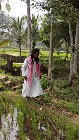 haji KA sawah  #luculucuvideo #hiburan #lucu 