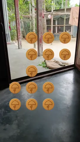 অনেক চেষ্টার পর পারলাম সবাই সাপোর্ট করবেন আমার আইডিকে 