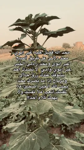 وبل والدين احسانا #عباراتكم_الفخمه📿📌 #شعر #تصويري_احترافي_الاجواء👌🏻🕊 #تصويري_احترافي_الاجواء👌🏻🕊 #اقتباسات #هواجيس #حسابي_الرسمي_على_التيك_توك #viral #حسابي_الرسمي_على_التيك_توك #إنستغرام 