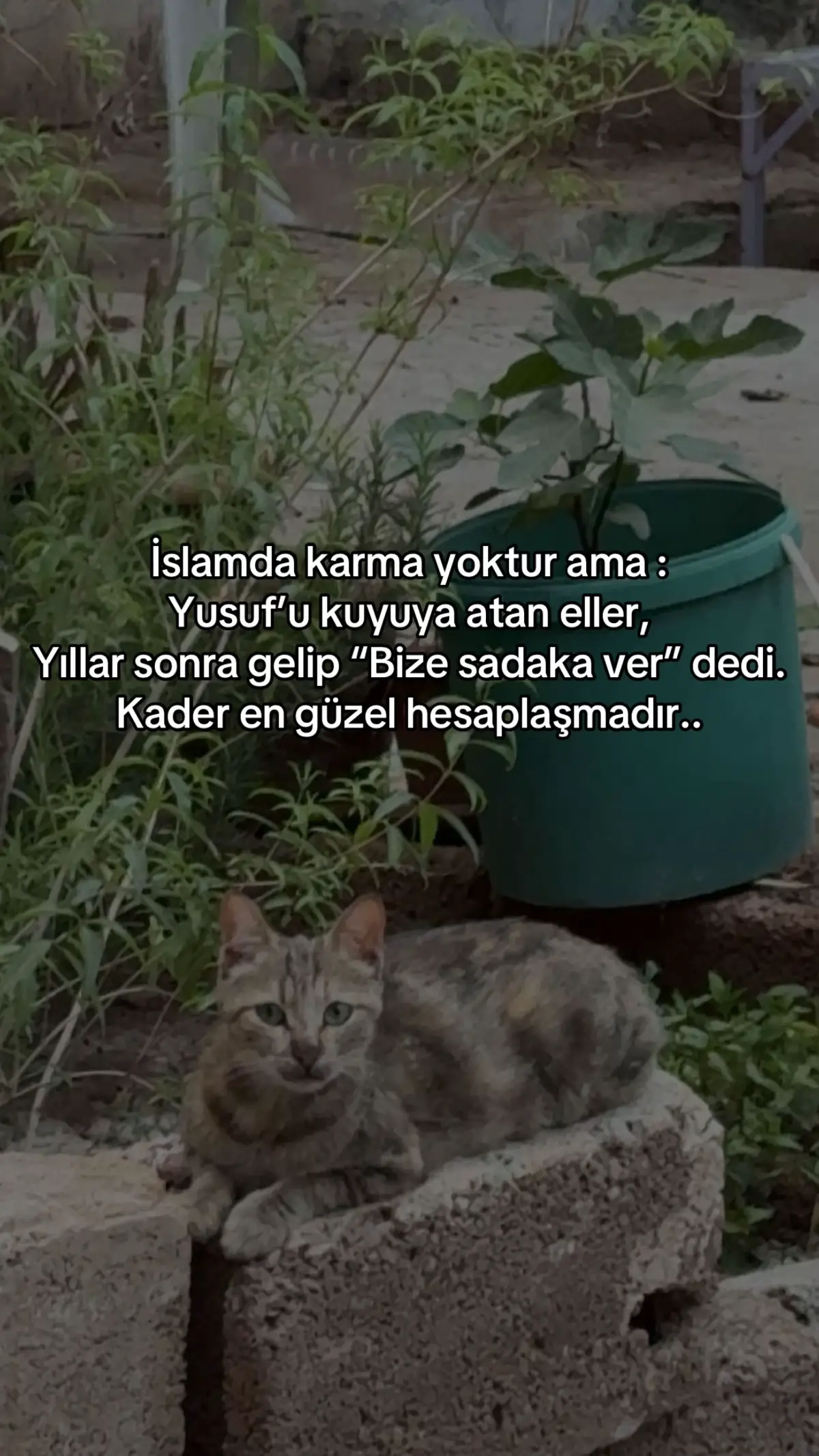 #keşfet #fy #fyppppppppppppppppppppppp 