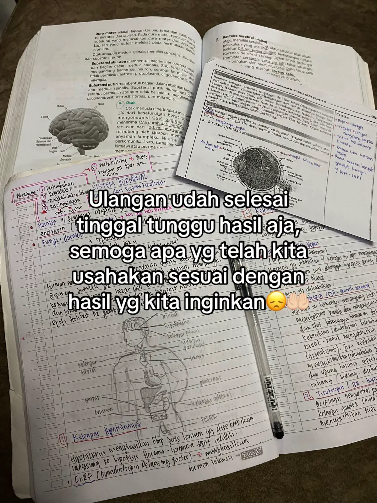 Semoga naik kelas semua ya😉 #uas #ujian #bagirapot #4u #fyp 