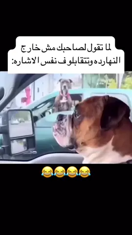 #الشعب_الصيني_ماله_حل😂😂 #الشعب_الصيني_ماله_حل #explor #die #fotografia #tiktokindia #اكسبلورexplore #tiktok_india #viral 