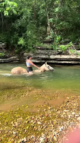 I FINALLY got in the creek, on a horse. Isn’t it gorgeous! #Summer #time #summervibes #creek #days #horse #horsesoftiktok #fun #goodtimes #happy #viral #trending #tiktok #fyp #foryoupage 