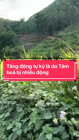 Sống với thiên nhiên là điều tuyệt vời nhất #thaoduocbaoan 